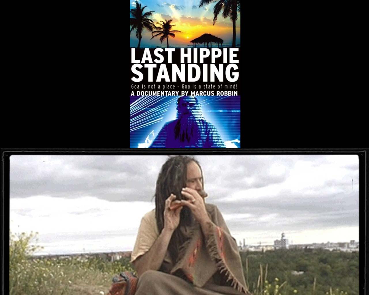 LastHippieStanding